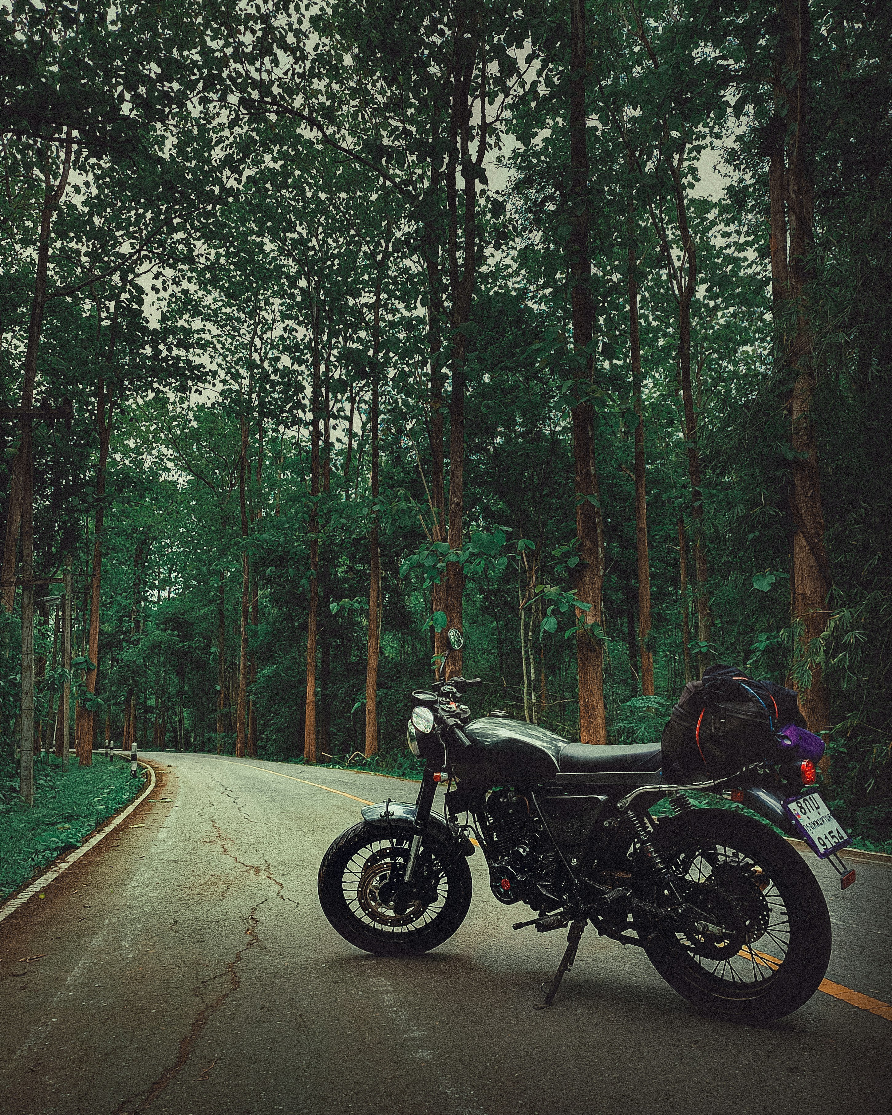 black motorcycle on road surrounded by trees during daytime